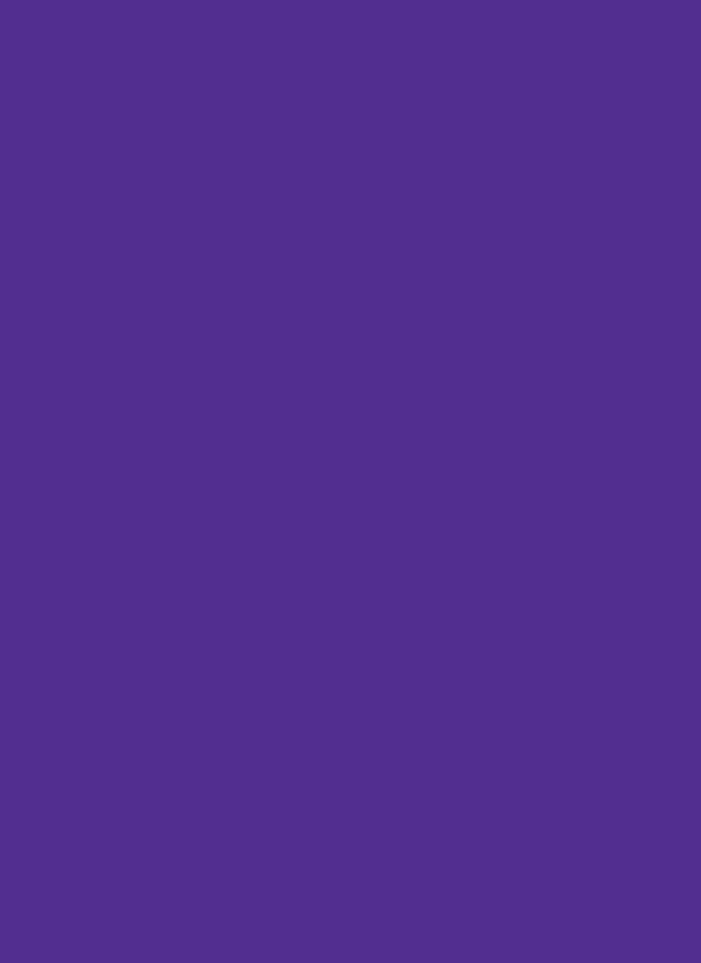 2 Polarisperlen Violett matt PU20/1 12 x 12mm