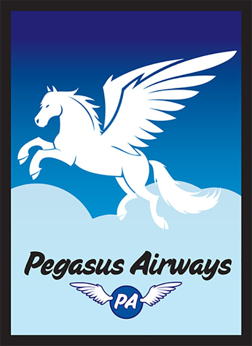 Sleeve - Pegasus Air