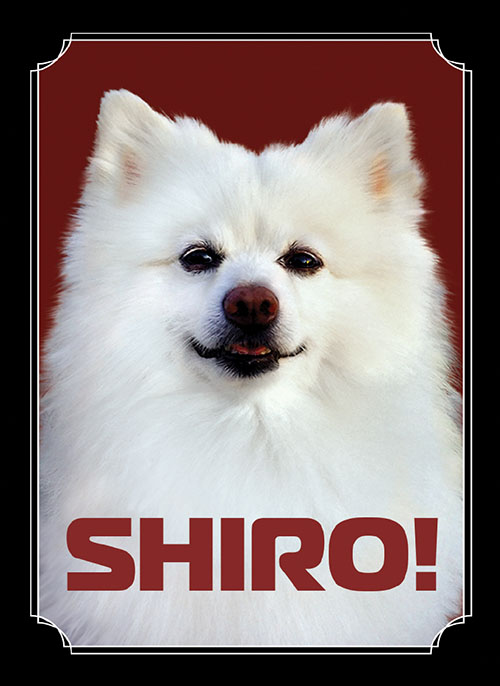 Sleeve - Shiro